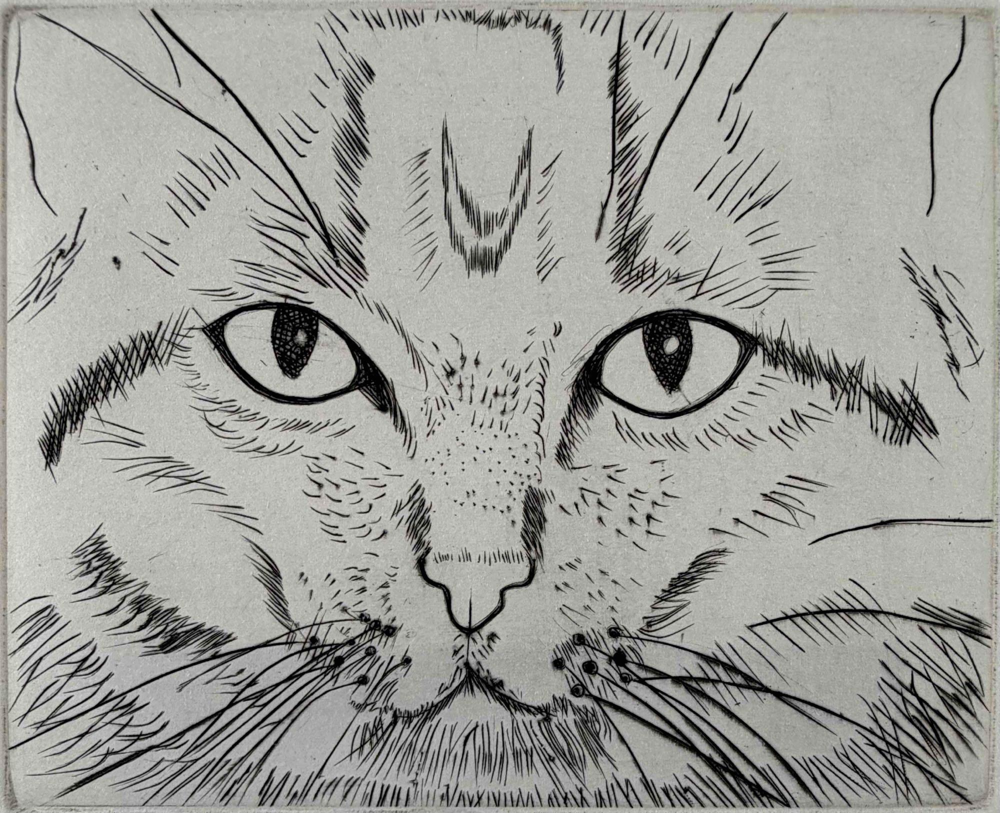 Beth Van Hoesen (American, 1926-2010), Cat Face, Engraving With Dry Point